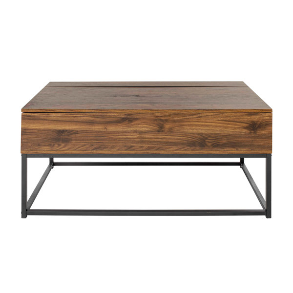 Trent Austin Design® Hilyard Lift Top Coffee Table with Storage and